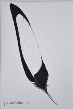 a black and white drawing of a feather