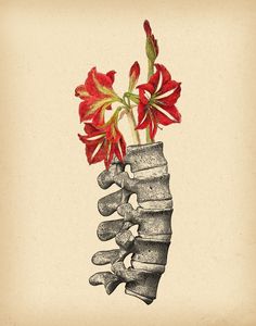 a drawing of a flower in a vase with bones on the bottom and red flowers sticking out of it