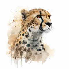 a watercolor painting of a cheetah