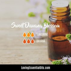 Tangerine and davana essential oil blend by Loving Essential Oils Davana Essential Oil, Diffuser Recipes, Essential Oil Blend, Diy Recipes, Oil Uses