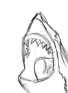 a drawing of a shark's mouth with sharp teeth and an open mouth is shown