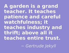 a quote from gertrude jekyl that reads, a garden is a grand teacher it teaches patience and careful watch