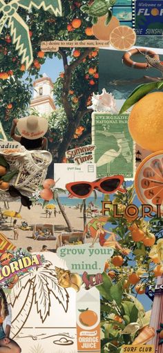 a collage of oranges, sunglasses and other things in the background with words on them