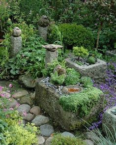 a garden filled with lots of different types of plants and rocks in the middle of it