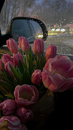 pink tulips sitting in front of a car window