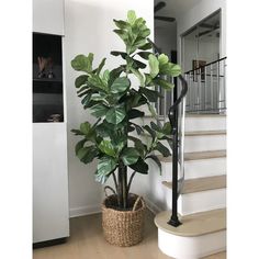 a potted plant sitting on top of a wooden floor next to a stair case