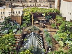 an aerial view of a rooftop garden in the city