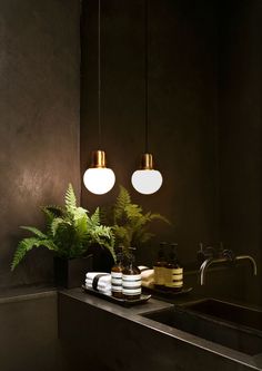 a kitchen sink with two lights above it and a potted plant on the counter