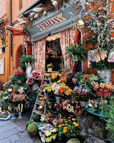 an outdoor flower shop with lots of flowers on display