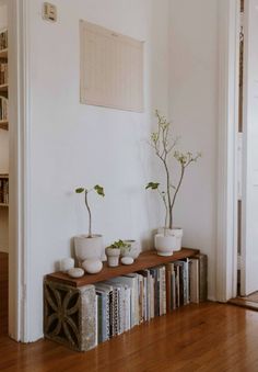 three potted plants are sitting on a shelf in front of a bookcase filled with books