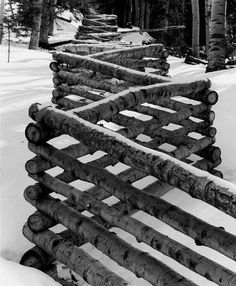 logs are lined up in the snow