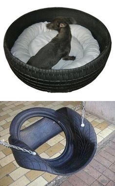 a dog laying on top of a tire bed next to a photo of a black dog