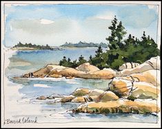 a watercolor painting of rocks and trees by the ocean