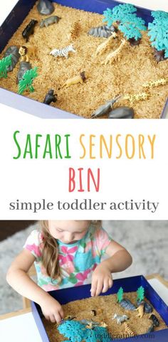 Safari Sensory Bin, Tin Cans Diy, Cardboard Reindeer, Jungle Activities, Safari Crafts, Safari Activities, Jungle Thema