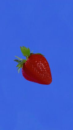 a single strawberry is shown against a blue sky