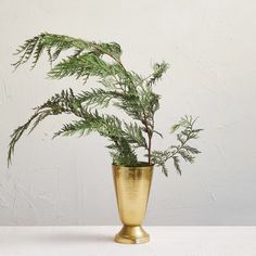 a plant in a gold vase on a table