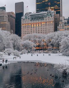 people are walking around in the snow near a pond with ducks and geese on it