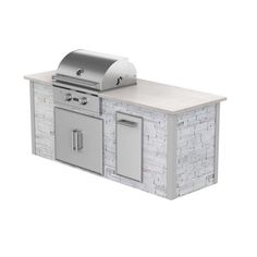 an outdoor bbq with two ovens and a grill on the counter top in front of it