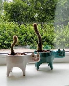 two cactus plants in ceramic cats shaped planters