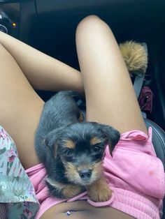 a woman laying in the back seat of a car holding a small black and brown dog