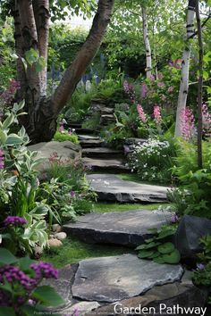 a stone path in the middle of a garden with flowers and trees on both sides