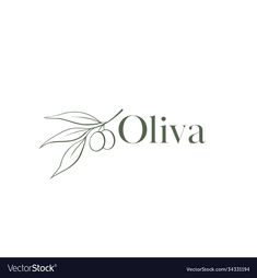 olive branch logo design on white background with the word oliva written in black ink