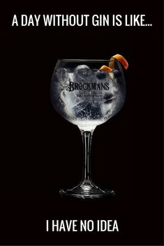 a gin glass with an orange garnish in it and the words, a day without gin is like i have no idea