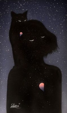 a black cat with its eyes closed and stars in the sky