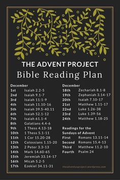 the advent project bible reading plan with green leaves on black and gold border around it