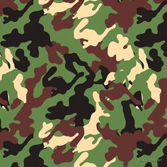 the camouflage pattern is green and brown