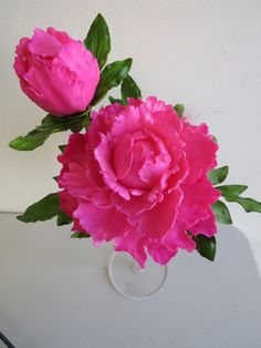 two pink flowers are in a clear vase