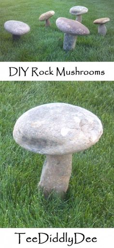 two pictures showing different types of mushrooms in the grass, and one with rocks on it