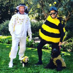 two men in bee costumes standing next to a dog