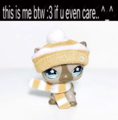 a small toy cat wearing a knitted hat and scarf with the caption, this is me bw 3 if even care