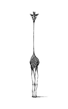 a drawing of a giraffe standing tall with its head down and it's neck extended