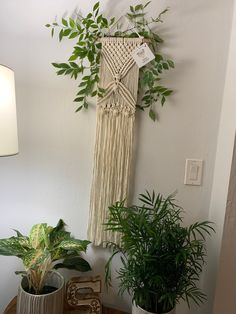 two potted plants are sitting on a table next to a wall hanging from the ceiling