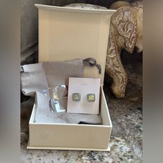 Silver Plated Square Earrings . They Have White And Silver Glitter Design . New With Tags , Box And Dust Bag . Bonnie Jewelry, Arrow Earrings, Dolphin Earrings, Stone Dangle Earrings, Glitter Design, Mother Of Pearl Earrings, Glitter Earrings, Oval Earring, Fish Hook Earrings