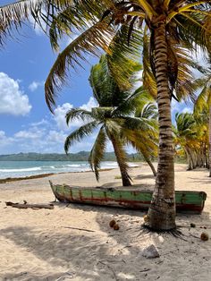 a boat sitting on top of a sandy beach next to palm trees and the ocean