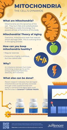 Mitochondrial Health, Health And Fitness Magazine, Low Calorie Diet, Health Plan, Fitness Advice, Holistic Nutrition, Good Health Tips, Healthy Food Choices, Health Lifestyle