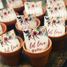 there are many small pots with flowers on them that say let love and grow in red lettering