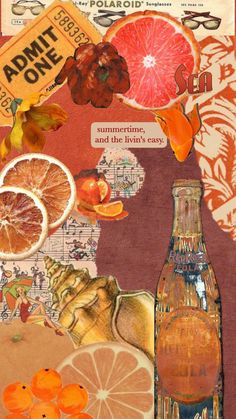 an altered collage with oranges, grapefruit and other things on it