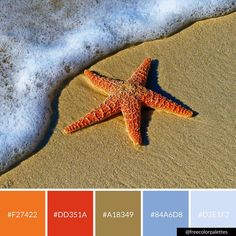 a starfish is laying on the sand at the beach