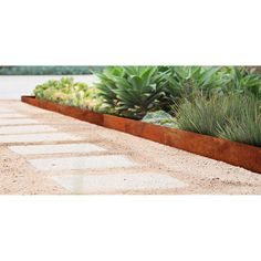 a row of plants sitting next to each other on top of a cement road near water