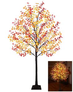 a lighted tree with lots of leaves on it