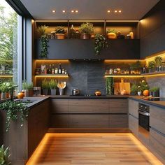 a kitchen filled with lots of plants and lights