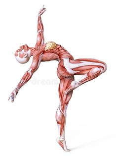 a woman doing yoga poses with muscles highlighted in the shape of a man's body