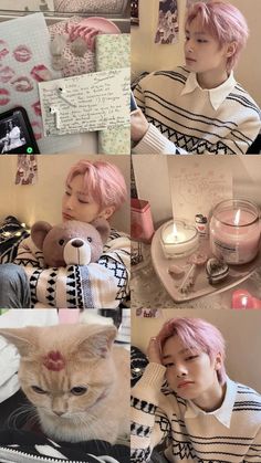 a collage of photos with an orange cat and a person holding a teddy bear