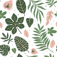 green and pink leaves on a white background