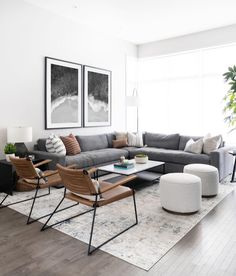 a living room filled with furniture next to a large window and potted plant on top of a hard wood floor