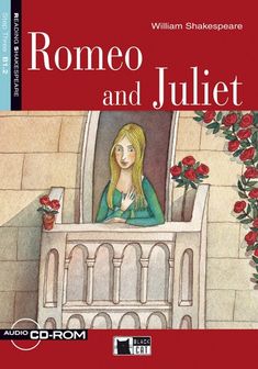 Image result for romeo and juliet book cover